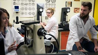 Students working in a lab.